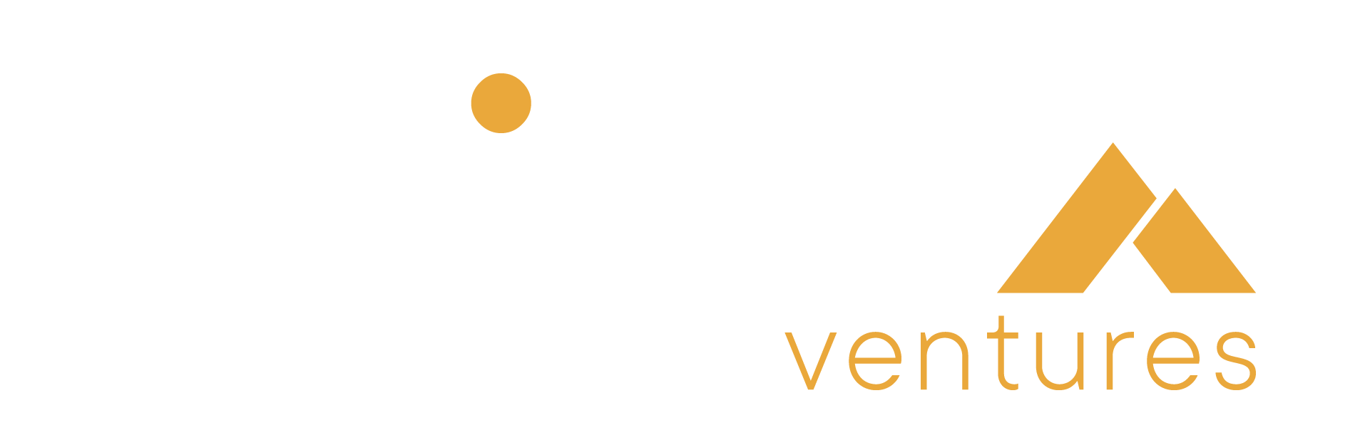 Flink Ventures